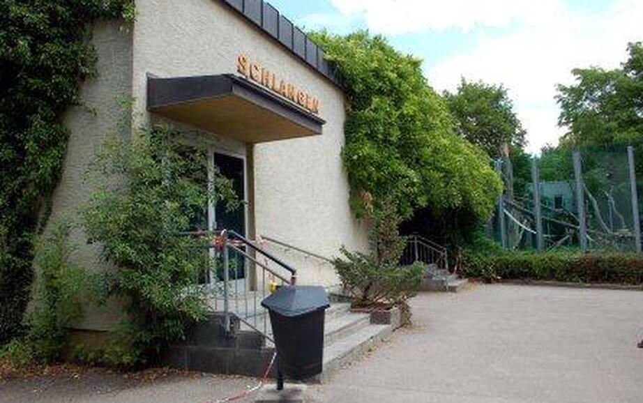 The pavement in front of the reptile house in Augsburg shines in new splendour thanks to PCI